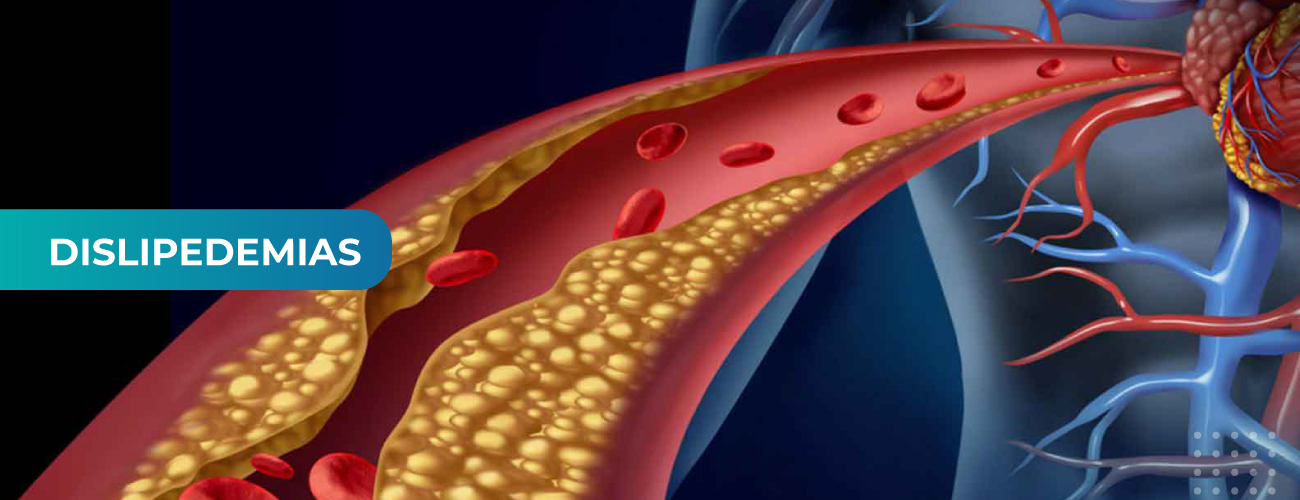 Portal Cardiología