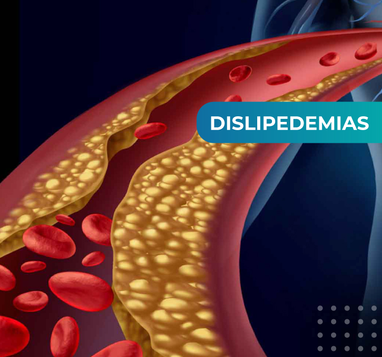 Portal Cardiología